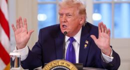 President Donald Trump said Friday he does not want the FBI to work with 'crooked' state officials in Minnesota on the ICE shooting investigation