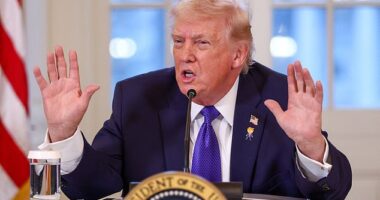 President Donald Trump said Friday he does not want the FBI to work with 'crooked' state officials in Minnesota on the ICE shooting investigation