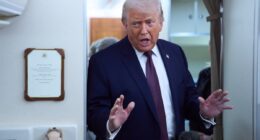 Trump brings back infamous ‘two weeks’ wait claim when pressed about Greenland deal details