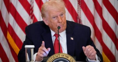 Trump floats tariffs against countries that ‘don’t go along’ with his plans for Greenland