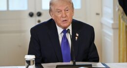 Donald Trump has been briefed on options for potential strikes on Iran, after he said he was 'ready to help' protesters facing a crackdown from the Ayatollah's regime