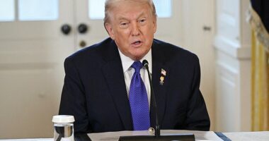Donald Trump has been briefed on options for potential strikes on Iran, after he said he was 'ready to help' protesters facing a crackdown from the Ayatollah's regime