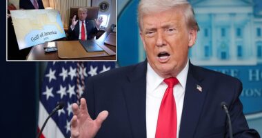 President Donald Trump said Tuesday he considered changing the name of the Gulf of Mexico to the 'Gulf of Trump' - though he immediately told reporters he was joking. Or was he? Trump was the surprise guest at Tuesday's press briefing, taking the podium amid a tussle with European leaders over the future of Greenland. What was billed as a press conference mostly became a venue for the president to read from a list of accomplishments - 365, according to a White Housepress release - as he marked one year into his second term.