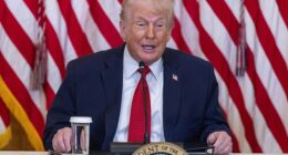 Donald Trump, pictured above on Friday, has asked nations to contribute $1 billion for permanent membership to his newly established Board of Peace