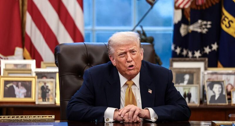 President Donald Trump expressed uncertainty Wednesday on whether Iran's exiled Crown Prince Reza Pahlavi could eventually lead the country. In an Oval Office interview with Reuters, he said that while Pahlavi 'seems very nice,' Trump wasn't sure the Iranian population would accept the crown prince as the country's leader. The conversation happened moments after Trump appeared to pump the brakes on an American military intervention, something the president has been threatening for weeks as the Islamic regime has brutally cracked down on widespread protests. 'He seems very nice, butI don't know how he'd play within his own country,' the president said of Pahlavi. 'And we really aren't up to that point yet. I don't know whether or not his country would accept his leadership, and certainly if they would, that would be fine with me,' Trump added.