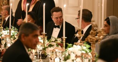 Trump renews his assault on shareholder democracy, siding with CEOs over stockholders