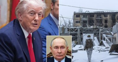 Donald Trump has announced that Russian President Vladimir Putin agreed to a one-week ceasefire in Ukraine. 'Because of the cold – extreme cold – I personally asked President Putin not fire on Kyiv and the cities and towns for a week. He agreed to do that... during this extraordinary cold. I have to tell you, it was very nice,' Trump said at a cabinet meeting on Thursday. There was no immediate confirmation from the Kremlin. 'A lot of people said, "Don't waste the call, you're not going to get that," And he did it. We're very happy that they did it,' Trump added.