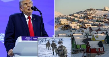 President Donald Trump ruled out taking Greenland by force and pulling out of NATO in a stunning reversal after making major threats to get his hands on the Danish island territory. After making a long-winded argument at the World Economic Summit about why the Danish territory should be in U.S. hands, Trump made a pledge. 'We probably won't get anything unless I decide to use excessive strength and force, where we would be - frankly - unstoppable,' Trump first said. 'But I won't do that. OK,' he continued. 'Now everyone says, "Oh, good."' Stocks immediately bounced back up at the news that there would be no military intervention over Greenland, which could have led to a breakup of NATO.