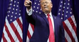 Donald Trump announced a deal with the Venezuelan regime to give the United States 30 to 50 million barrels of oil.