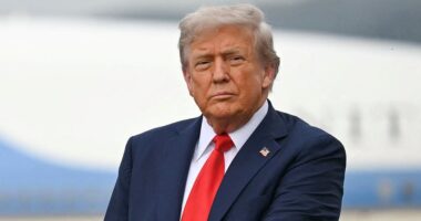 Trump sends allies into meltdown with leaked private texts and Greenland flag meme as world row explodes: Live updates