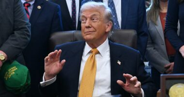 Iran reopened its airspace Thursday morning after a temporary closure as Donald Trump appeared to steer away from potential strikes against Tehran. The closure ran for over four hours and appeared to have expired just after 7am local time as several domestic flights were in the air. While tensions remain high between the countries, Trump spoke carefully after being told that Iran had stopped executing protesters at a press conference in the Oval Office Wednesday in a possible sign that pragmatists inside the administration have successfully made the case that an attack is too risky. 'We've been told that the killing in Iran is stopping, and it's stopped and stopping, and there's no plan for executions or an execution,' the president told reporters.