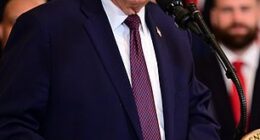 Privately, Donald Trump is said to believe optics surrounding ICE tactics ‘looks bad’ and wants to see agents conducting deportations not fighting with protesters