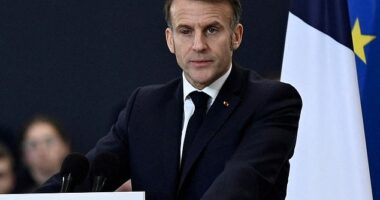 Macron fired back at Trump saying a united response from the eight would follow should the tariffs come to fruition