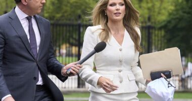 A Trump-appointed federal judge has demanded answers over why the Justice Department's prosecutor, Lindsey Halligan (pictured), is pretending she still has a job. US District Judge David Novak of Richmond ordered Halligan to explain why she continues to identify as the US attorney for the Eastern District of Virginia despite another judge ruling in November that she had been unlawfully appointed to the role. Judge Novak sent out a three-page order on Tuesday demanding answers from Halligan regarding her role. The order is a part of a carjacking and attempted bank robbery case involving Halligan as the prosecutor.