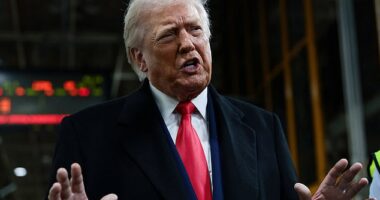 Trump's DHS has reviewed close to 50 million US voters and found that only 10,000 - or 0.02 percent - have citizenship irregularities