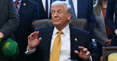 President Donald Trump played scared after being told some of the dairy farmers visiting the Oval Office on Wednesday came from Butler, Pennsylvania