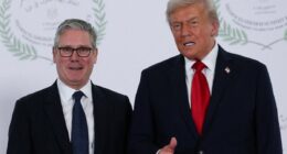 Trump’s tariff threat on Greenland is a golden opportunity for Starmer – it is time to rejoin the EU