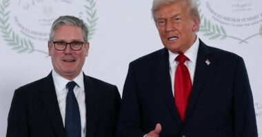 Trump’s tariff threat on Greenland is a golden opportunity for Starmer – it is time to rejoin the EU