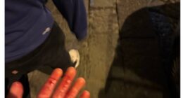 One Chelsea fan posted this image of his blood-soaked hand and said he'd been stabbed
