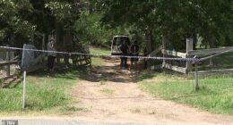 Police found the two men dead on Harrisons Lane, Glenorie, on Saturday morning