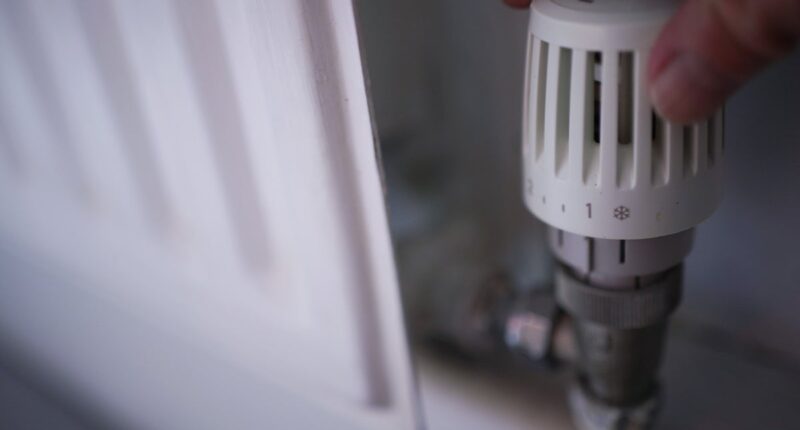 UK’s best and worst energy suppliers, according to Which? rankings