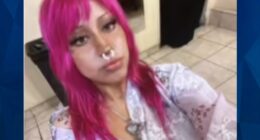 UPDATE: Missing Woman’s Boyfriend Arrested After Her Car Is Found Covered in Blood