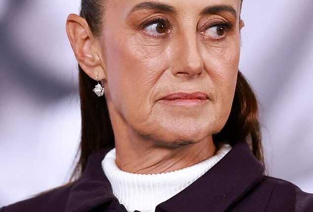 Mexico's president Claudia Sheinbaum has rejected US plans to interfere militarily in Mexico by sending troops across the border