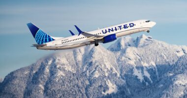 United’s stock rallies as airline’s perks and loyalty strategy pays off