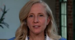 VA Dems Seek Limitless Abortion, Gun Bans, And Gerrymandering