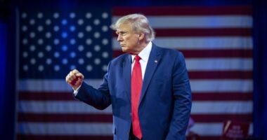 VIP Flash Sale! – HotAir