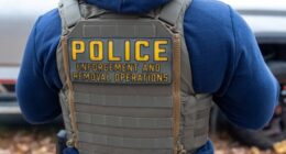 Video Shows Another MN Woman Attempting to Block ICE With Her Car, And She Gets Yolked Up in a Hurry – RedState