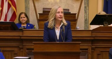 Virginia Dems Put Criminals First And Peaceful Citizens Last