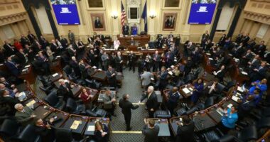 Virginia's 'Make Fraud Legal' Bill – HotAir