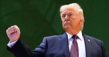 Want to End Major ICE Operations? Make This One Change – HotAir