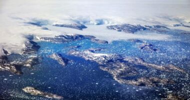 'We Don't Want to Be Americans' – RedState