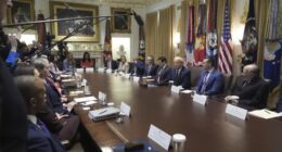 We Voted for This: Trump's Cabinet