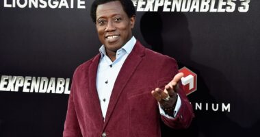 Celebrity Net Worth logo