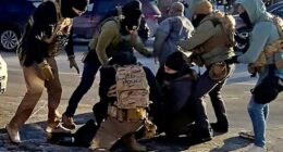 The moment multiple federal agents apprehended Alex Pretti, disarmed him and shot and killed him in a Minneapolis street