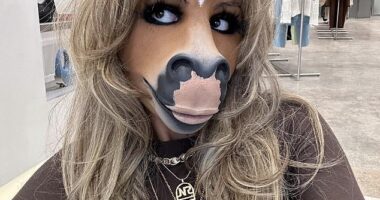 A guest at Saturday night's Brit Awards, dressed as a horse, was later revealed to be Berlin-based DJ HorsegiirL (pictured)