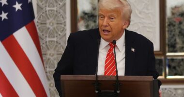 Why Trump banning institutional investors like Blackstone from buying homes won’t bring down housing costs, according to experts