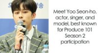 Yoo Seon-ho: Bio And Career Highlights