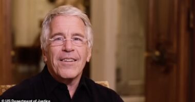 Jeffrey Epstein described himself as a 'tier one' sexual predator in a newly-revealed video showing the disgraced financier facing questions in a sit-down interview