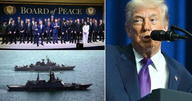 Donald Trump warned the US could bomb Iran if a deal isn't reached in the next 10 days. That blaring warning came at the president's first-ever Board of Peace meeting in Washington on Thursday where he complained about the high cost of war. He bragged about bringing 'peace to the Middle East,' but then subsequently threatened minutes later that if Iran doesn't make a meaningful peace deal 'bad things [will] happen.' 'We may have to take it a step further, or we may not. Maybe we're going to make a deal..,' Trump said of breakdowns in nuclear talks. 'You're going to be finding out over the next probably 10 days,' he added.
