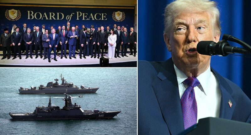 Donald Trump warned the US could bomb Iran if a deal isn't reached in the next 10 days. That blaring warning came at the president's first-ever Board of Peace meeting in Washington on Thursday where he complained about the high cost of war. He bragged about bringing 'peace to the Middle East,' but then subsequently threatened minutes later that if Iran doesn't make a meaningful peace deal 'bad things [will] happen.' 'We may have to take it a step further, or we may not. Maybe we're going to make a deal..,' Trump said of breakdowns in nuclear talks. 'You're going to be finding out over the next probably 10 days,' he added.