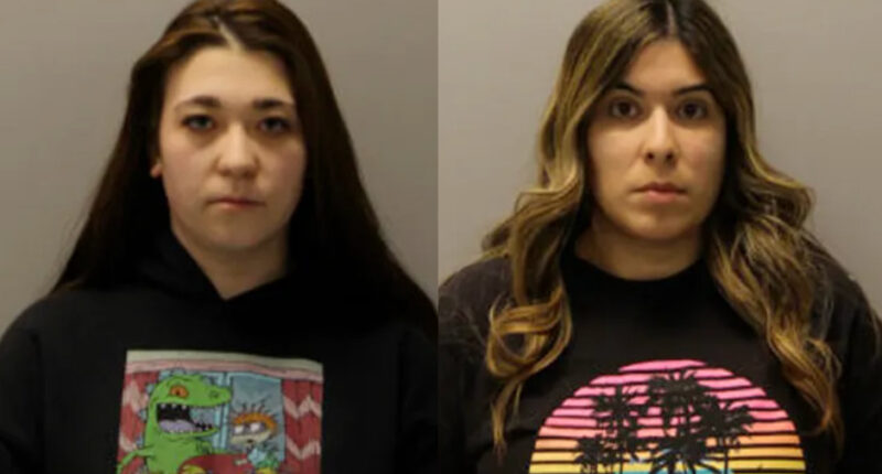 2 Illinois Daycare Workers Charged With Battery on 7 Children