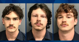 3 Arizona College Students Arrested in Fatal Fraternity ‘Hazing’ Incident