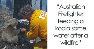 37 Wholesome Pics Showing That There’s Still Good In The World