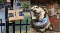 55 Of The Most Hilarious Delivery Confirmation Pics Drivers Sent Out To Customers