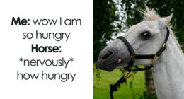 66 Random Memes That Are Pretty Entertaining And Unhinged