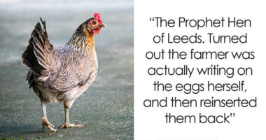 67 Mysteries That Have Sent Many People Down The Rabbit Hole Until They Were Finally Cracked